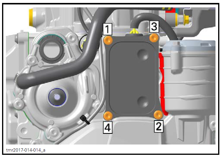 BRP Oil Cooler Bolts